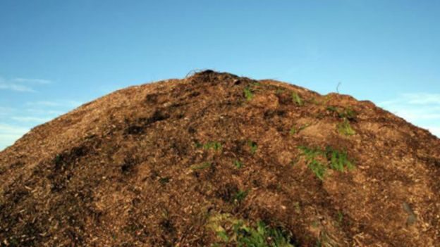 160419100825_pile_of_compost_512x288_getty_nocredit