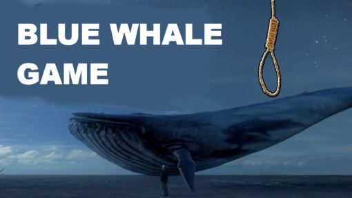 blue-whale-game