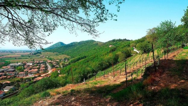 奥法诺山 (Monte Orfano) 为弗兰奇亚考达挡住了阿尔卑斯山的寒冷（图片来源：Marka/Getty）