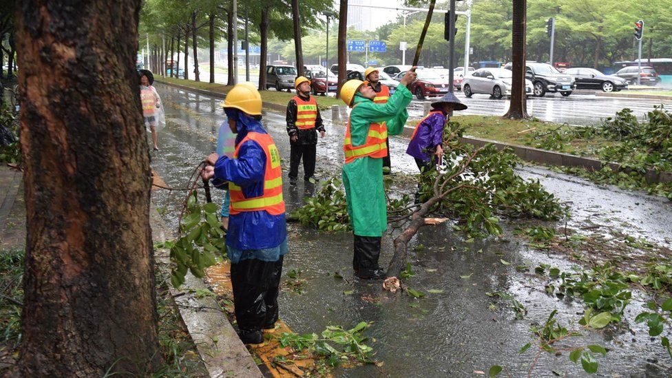 深圳街头环卫城管人员清理塌树。（图/取自BBC中文网）