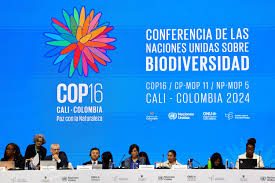 Public funding for nature conservation hits a wall at COP16, shifting focus to private investments.